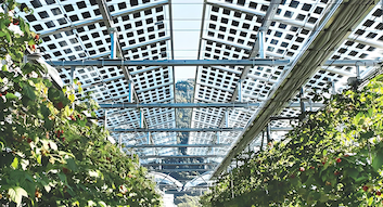 أحدث مدونات الشركة حول إيطاليا تصدر لوائح جديدة بشأن اختيار مواقع مشاريع الطاقة الشمسية والحوافز الضريبية للطاقة الشمسية